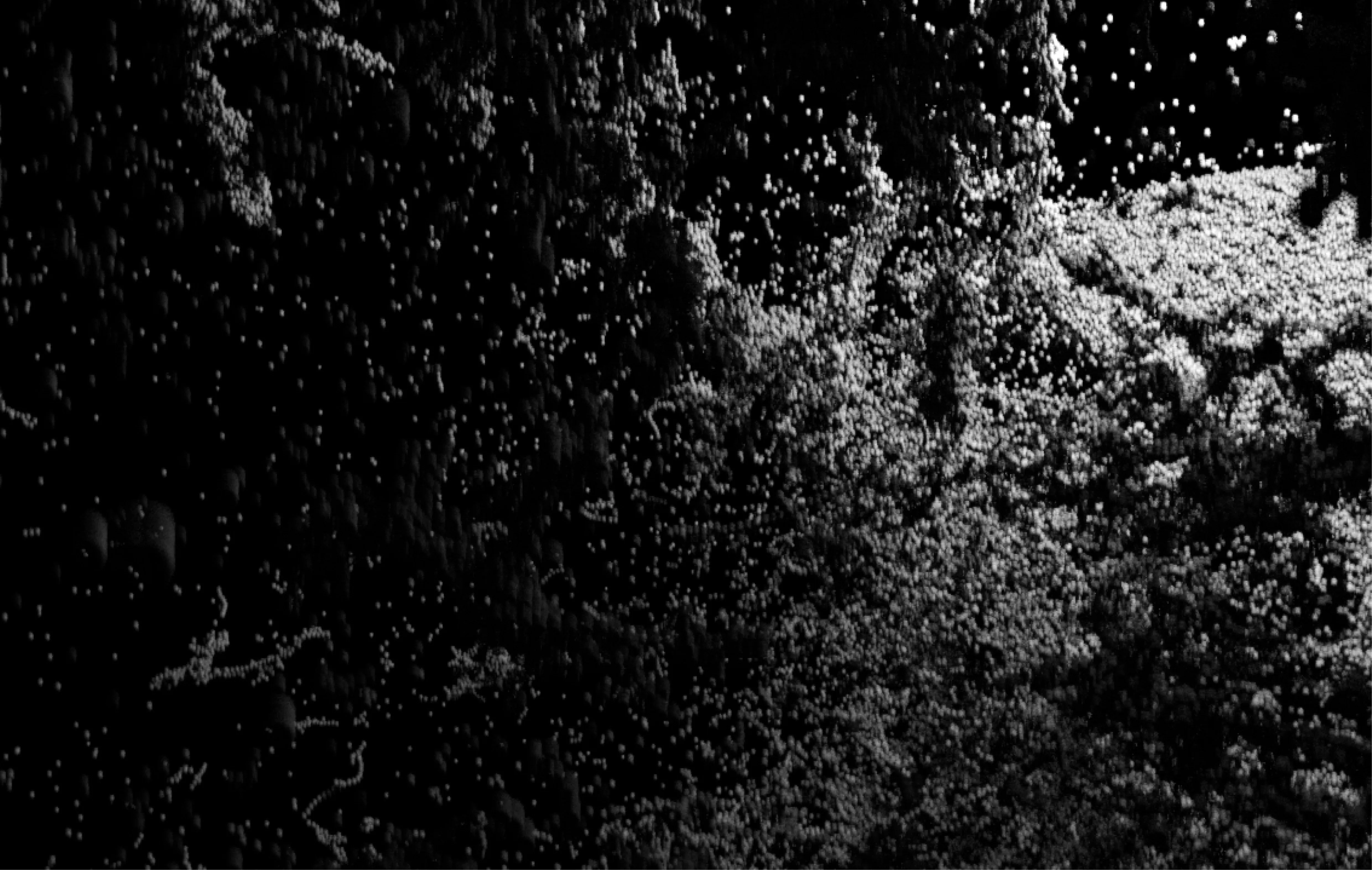 Something whole and its parts